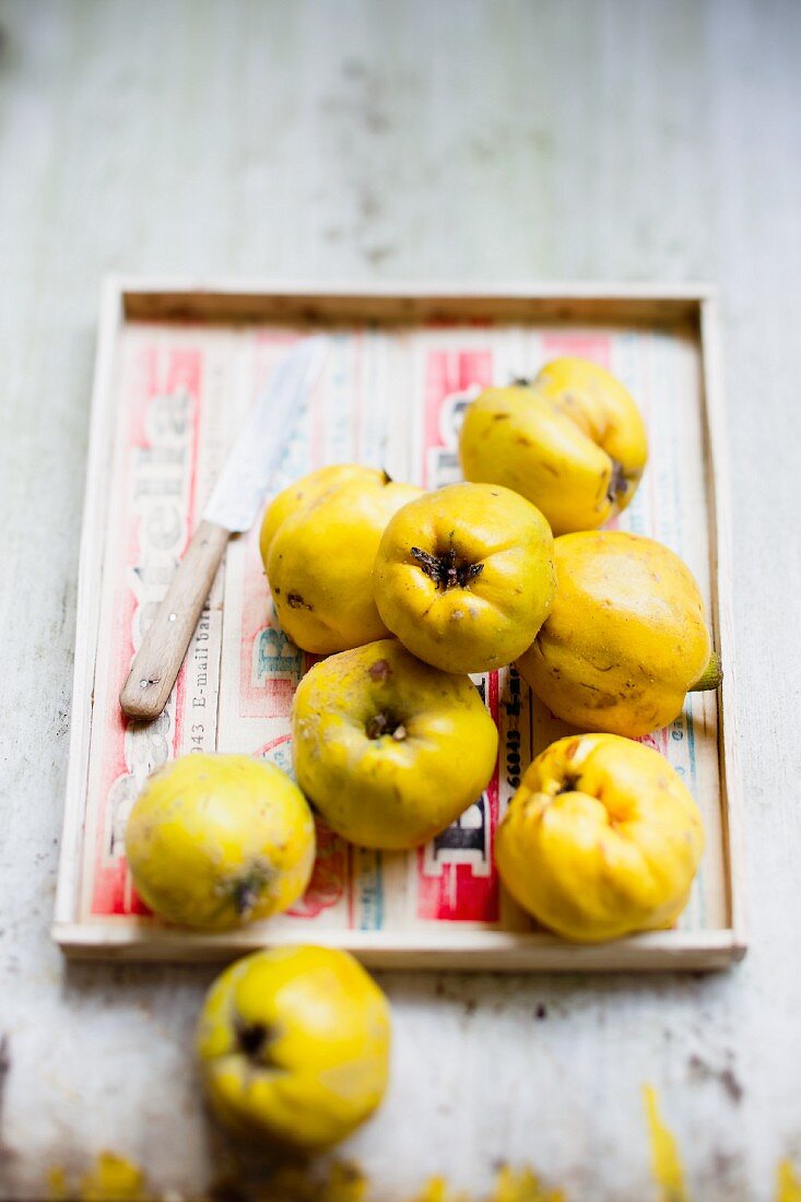Several quinces on a wooden tray