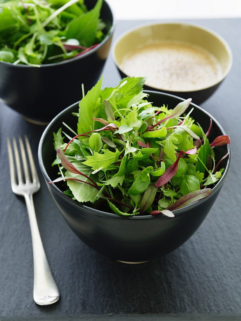 Gemischter Blattsalat mit Holundervinaigrette