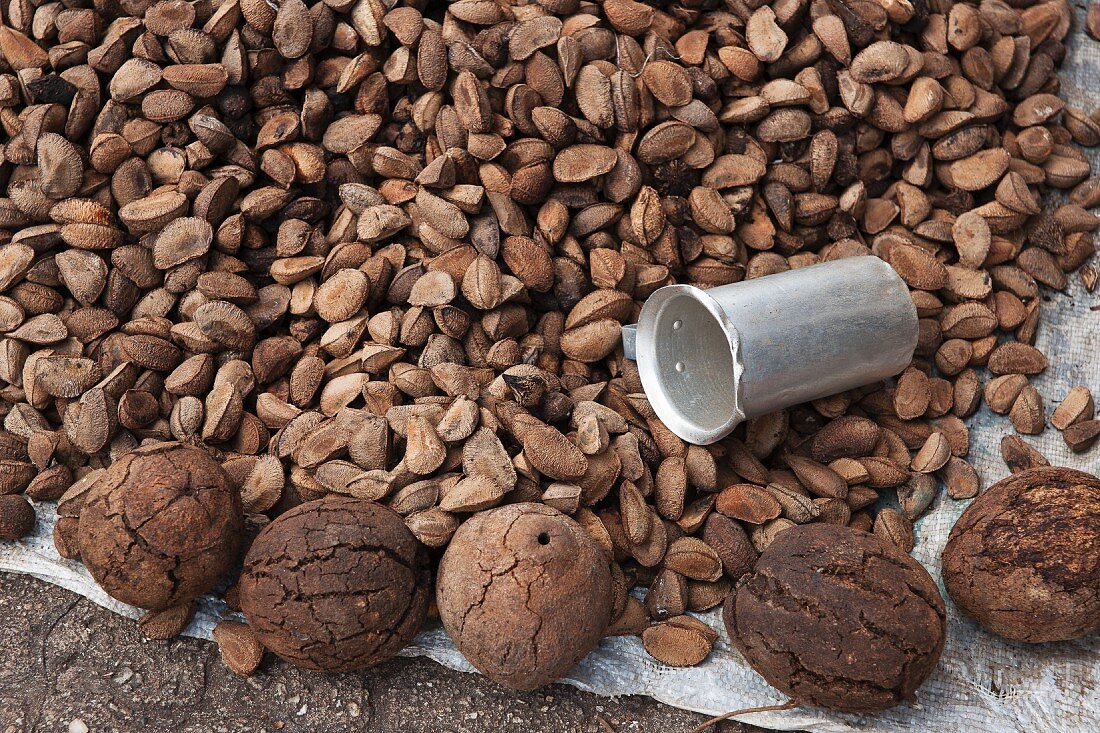 Viele Paranüsse (Bertholletia excelsa) auf einem brasilianischen Markt