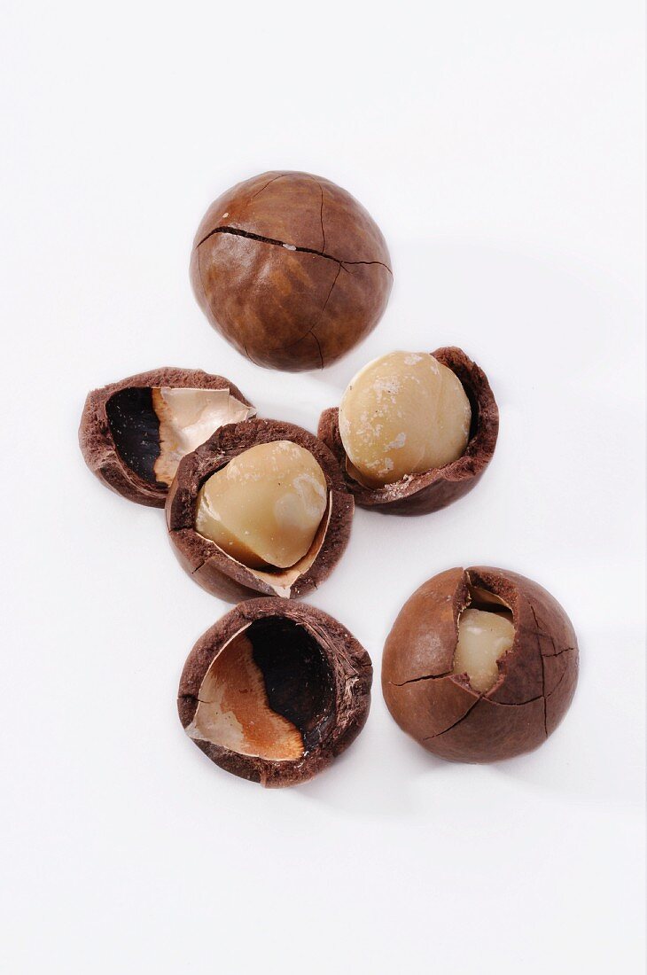 Several macadamia nuts