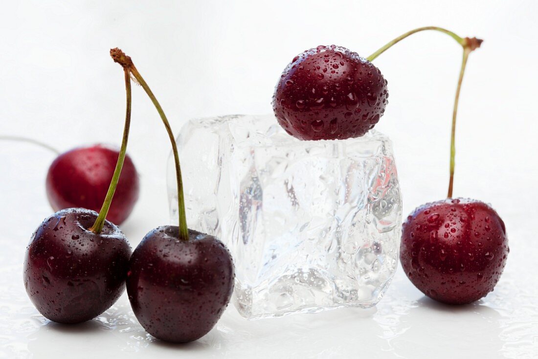 Sweet cherries and an ice cube