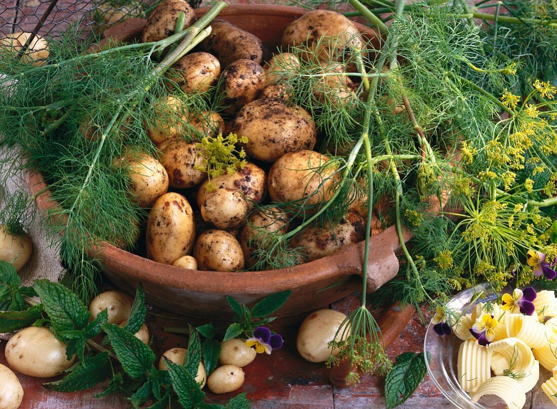 A still life of new potatoes, dill, mint and butter