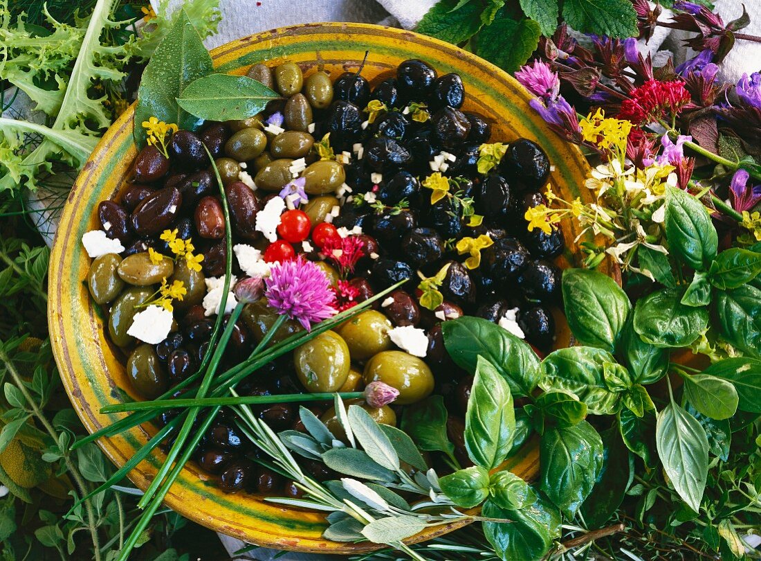 Olives and sheep's cheese in a bowl, surrounded by herbs