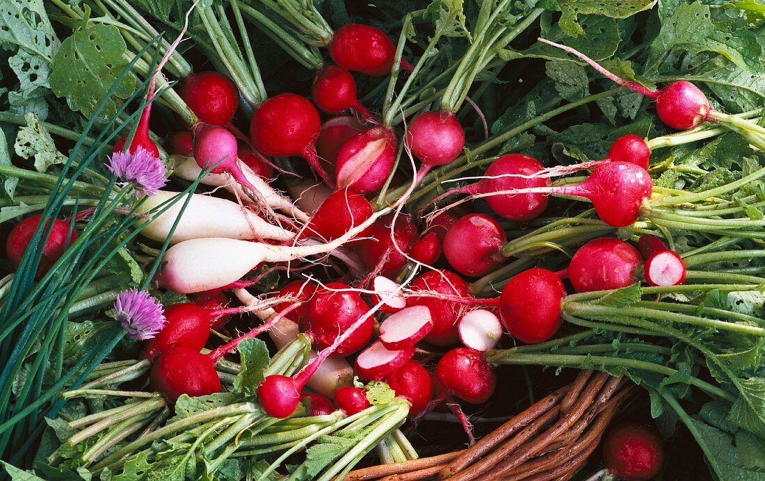 Types of radish in a basket