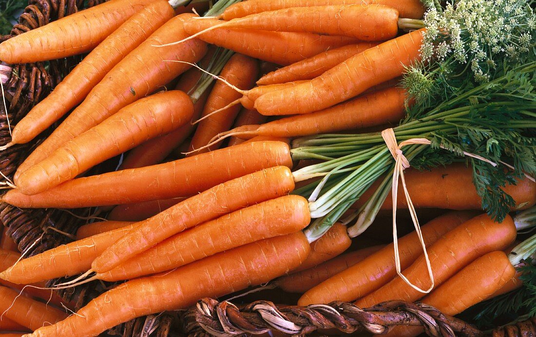 Fresh carrots, bunched, in a basket
