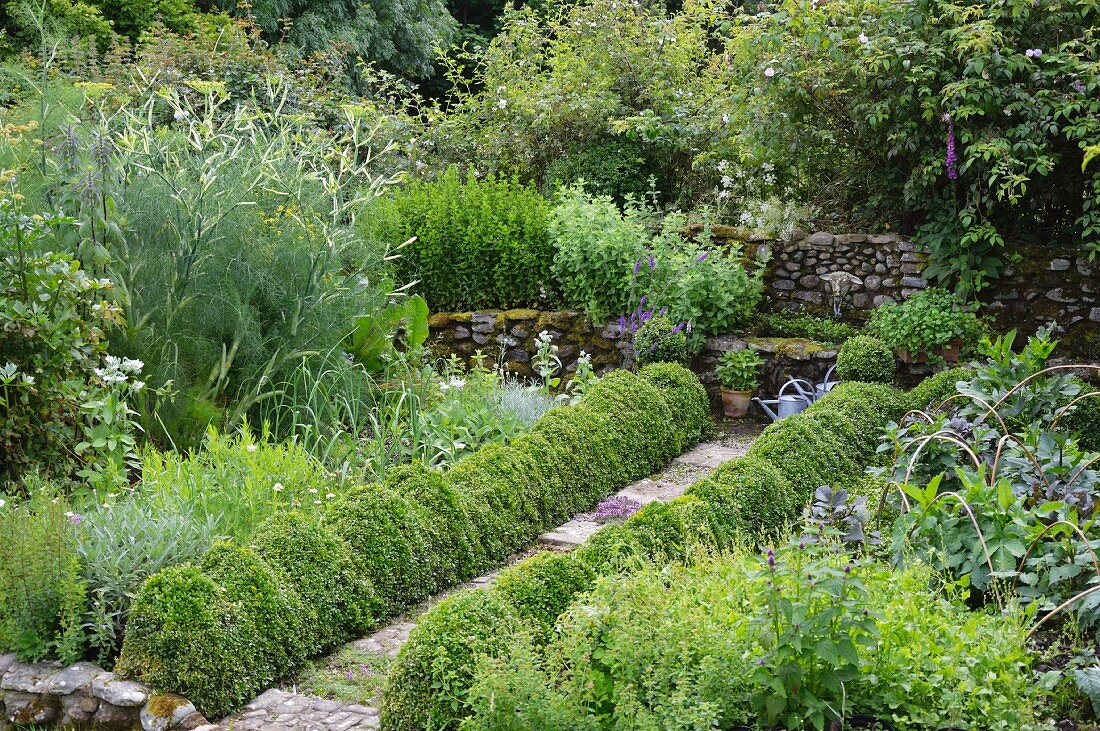 Gartenweg mit formgeschnittenen Buchsbaumbüschen und Brunnen aus Naturstein