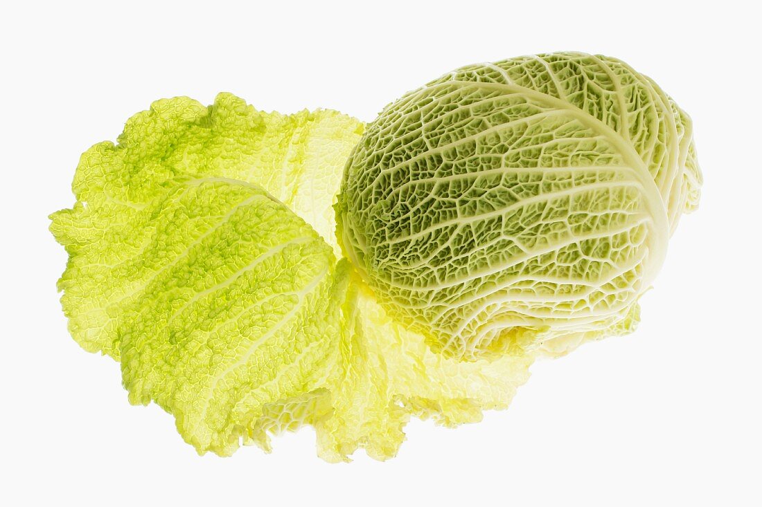 Savoy cabbage