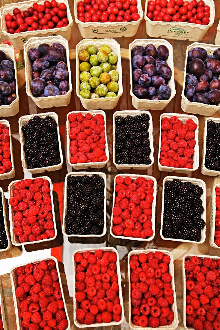 Raspberries, blackberries, cornel cherries, plums and mirabelle plums in cardboard punnets