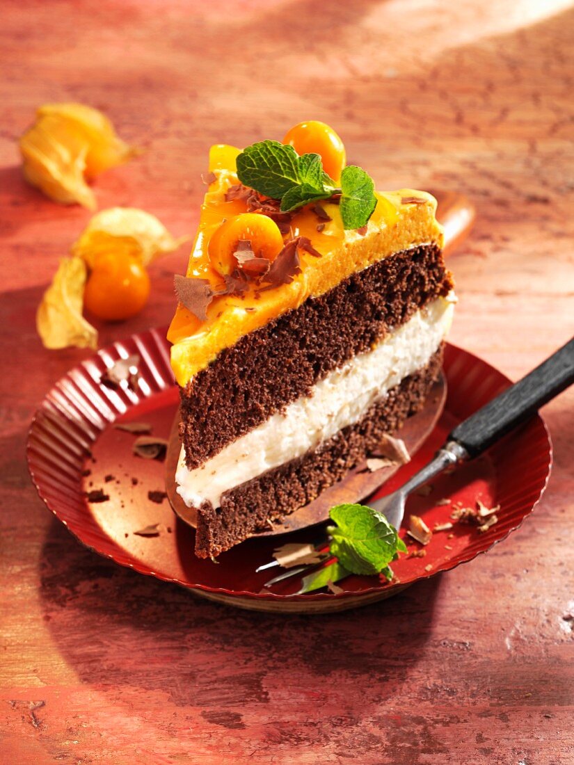 A slice of sea buckthorn and physalis layer cake