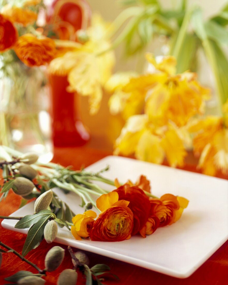 Parrot Tulips and Ranunculus Bouquet on a White Plate and in Vases in Background