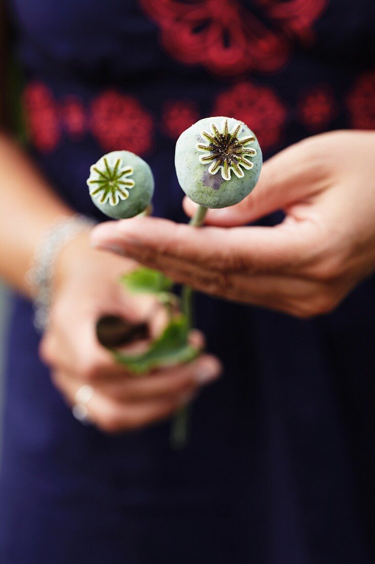 Woman holding poppy seed heads