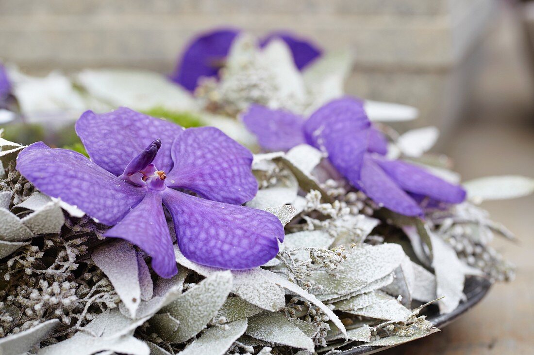 Christmas wreath with purple orchids and white leaves