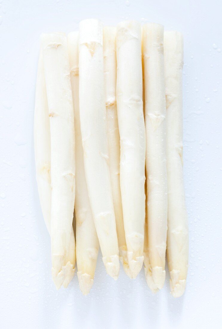 White asparagus (no background)