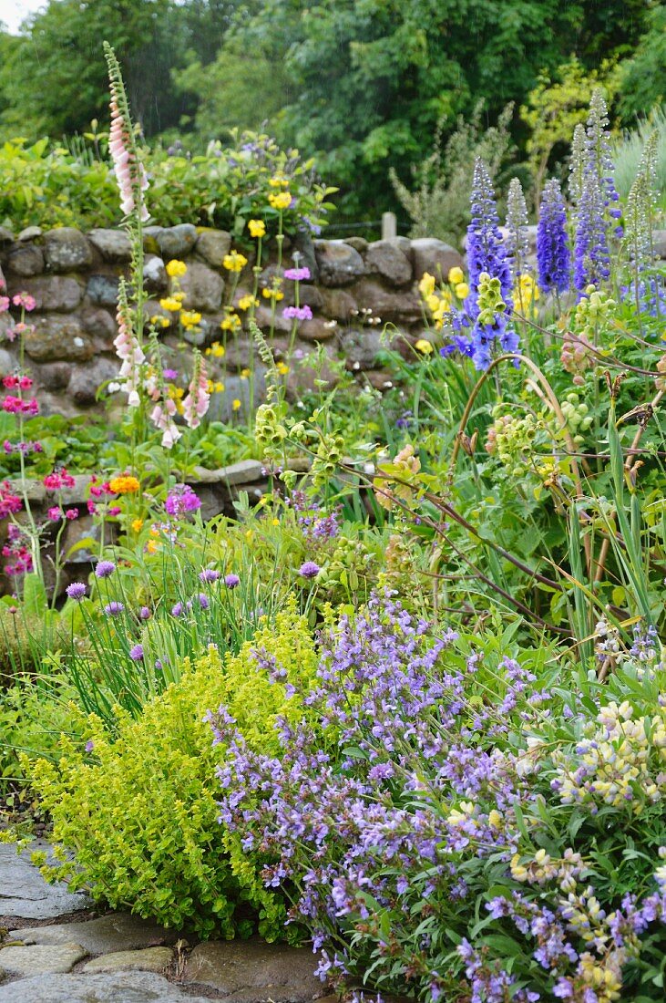 Cottage garden with flowering herbs and perennials in front of stone wall