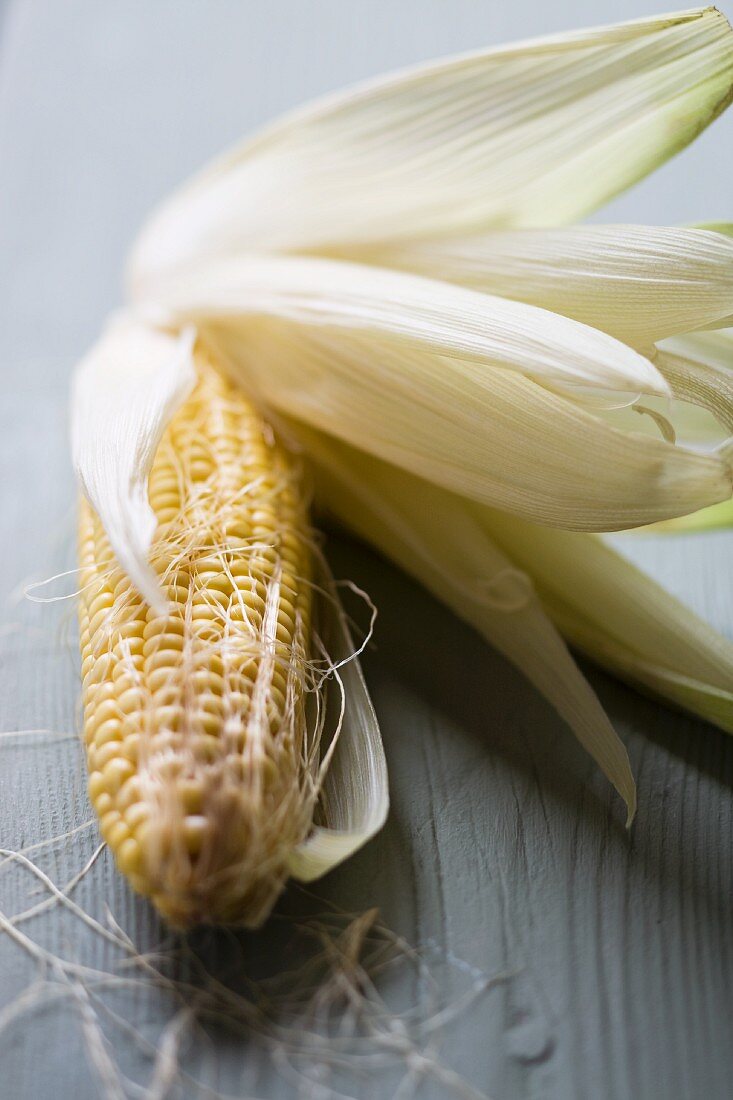 A corn cob with leaves and cornsilk