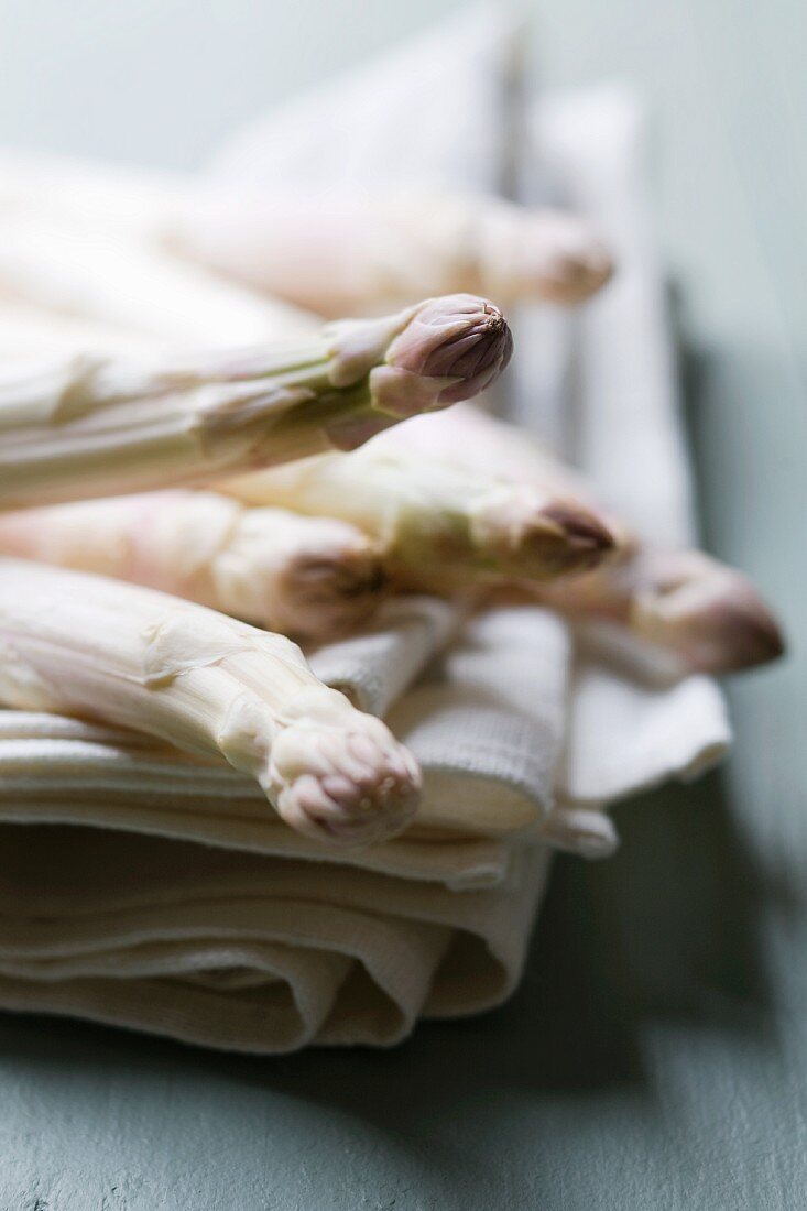White asparagus on a tea towel
