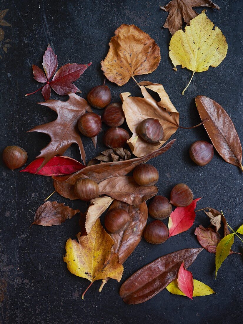 Kastanien und Herbstblätter