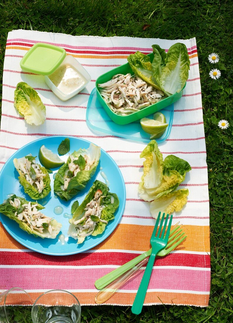 A picnic of chicken salad