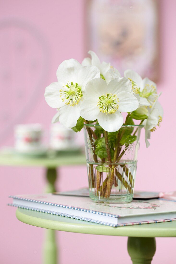 Hellebore posy in glass of water