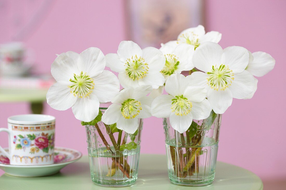 Two posies of hellebores in glass vases next to floral espresso cup