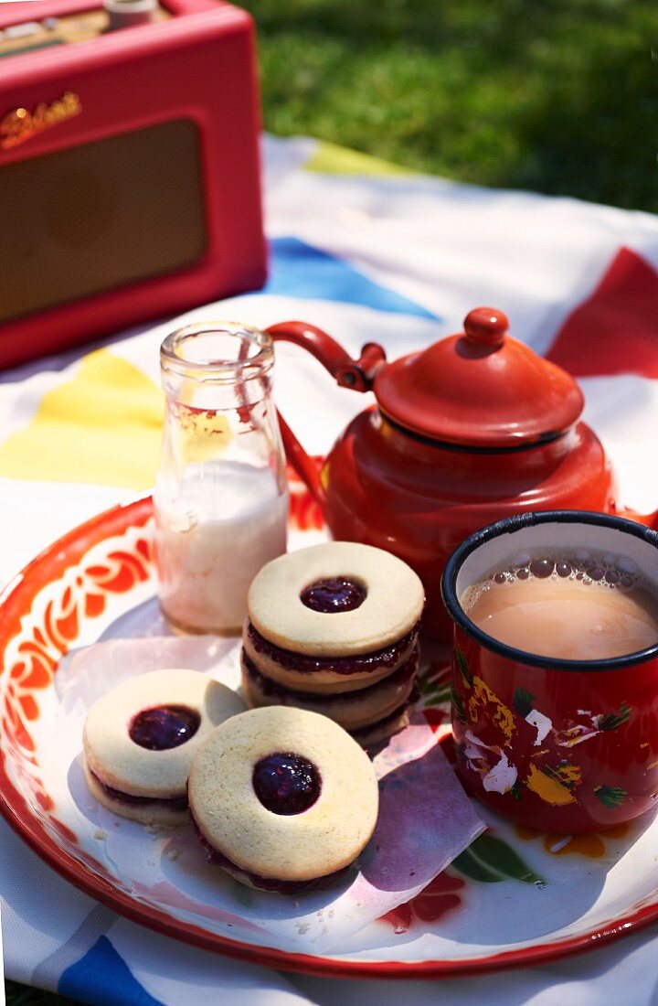 A picnic of jammie dodgers (jam biscuits, England) and tea