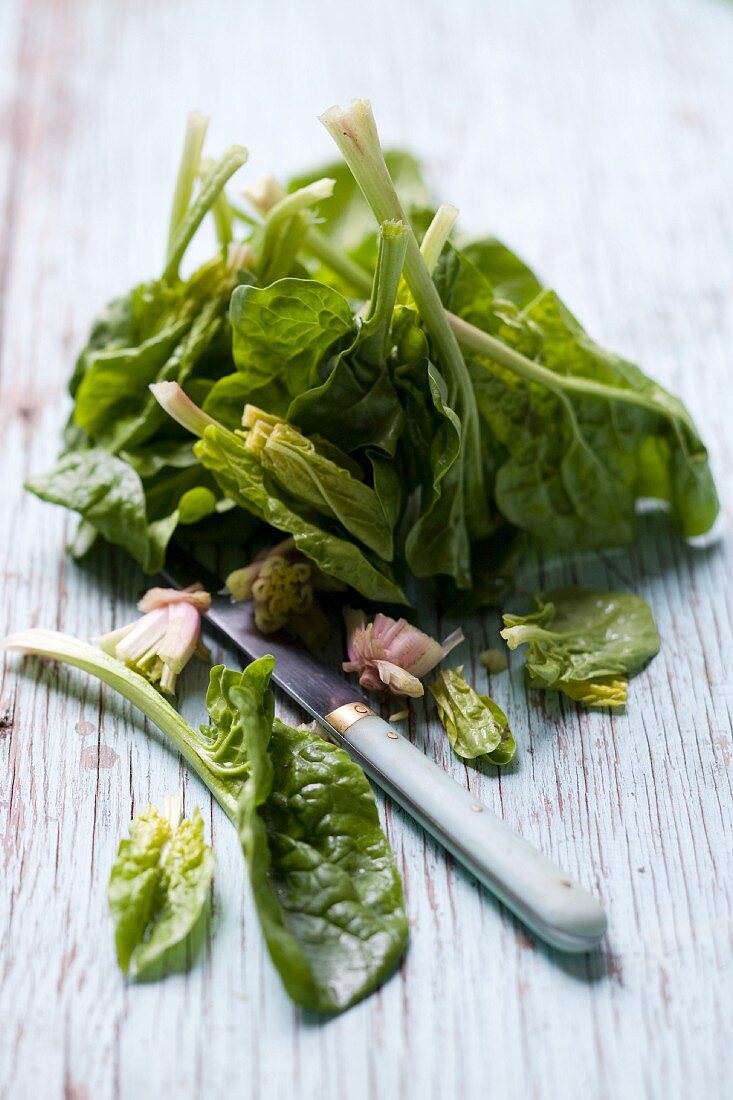 Fresh spinach leaves with a knife