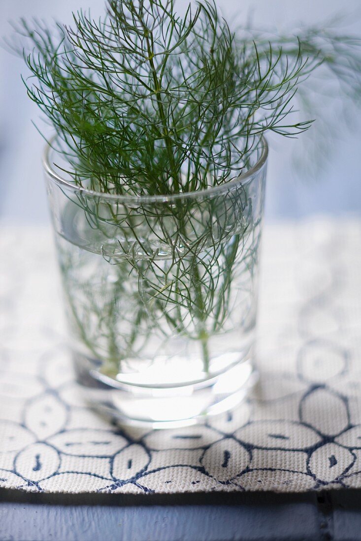 Fresh dill in a glass of water