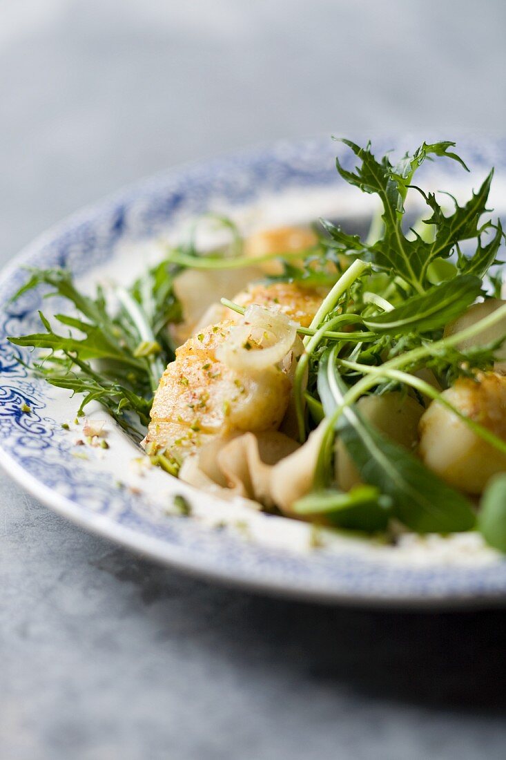 Fried scallops with salad leaves