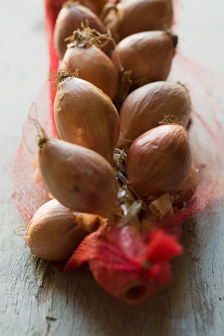 Plaited shallots