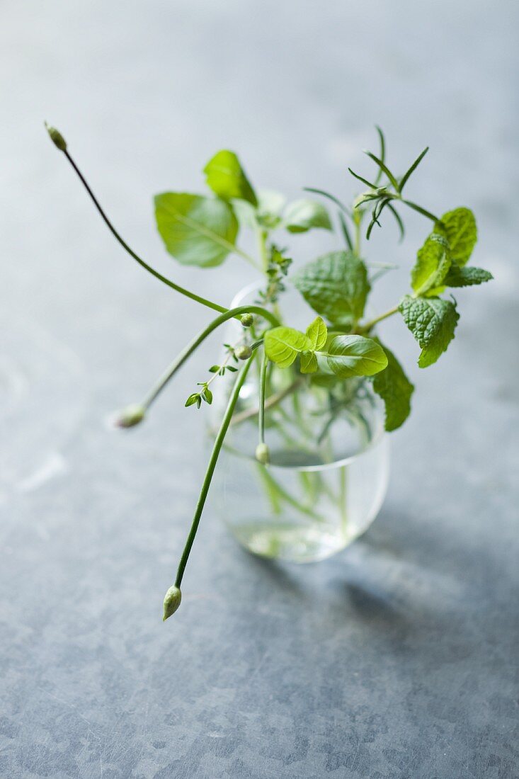 Fresh herbs in a glass of water