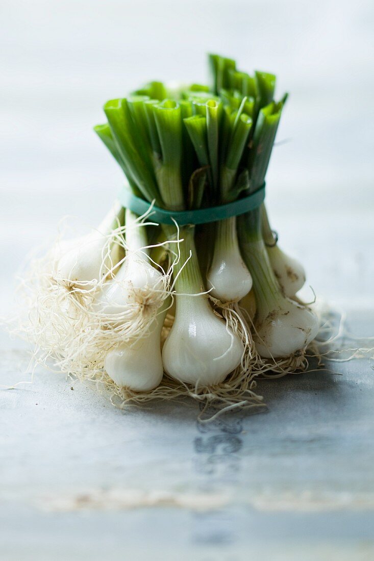 A bunch of spring onions secured with a rubber band