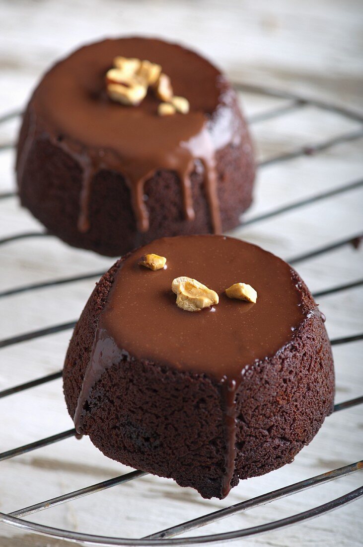 Individual chocolate puddings with walnuts