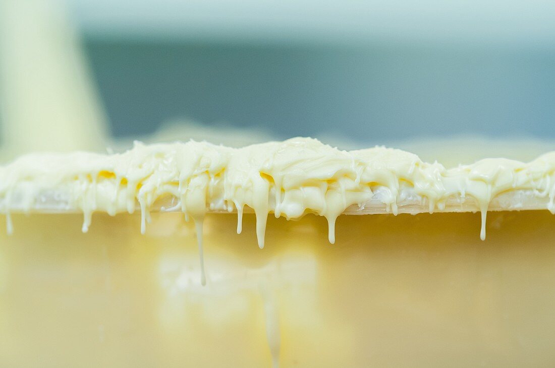 White chocolate coating for truffles