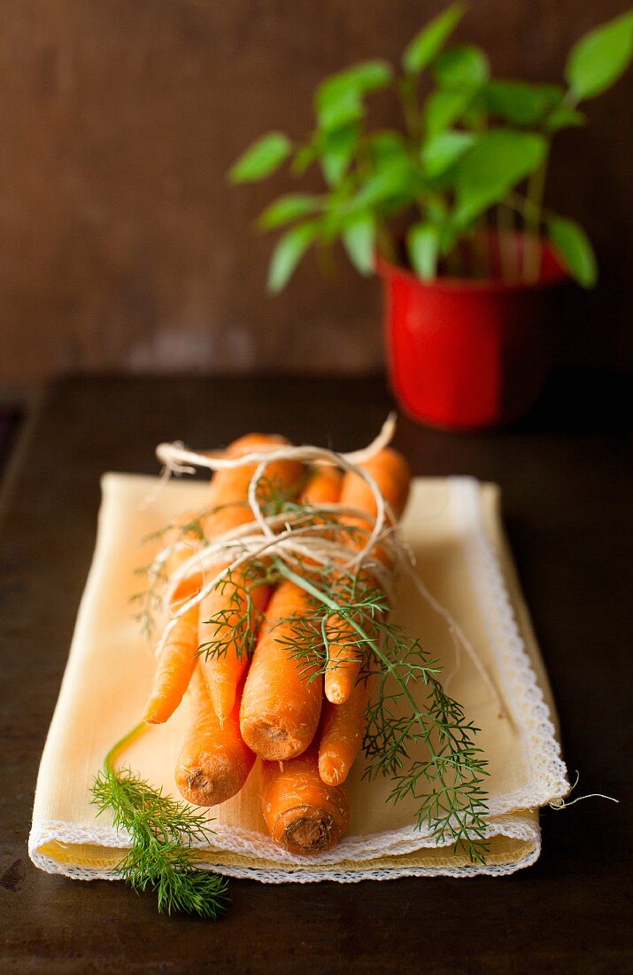 A Bunch of Fresh Carrots Ties with Twine and Fennel Fronds