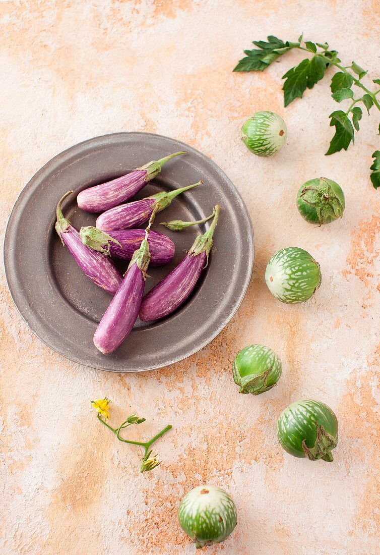 Stillleben mit Auberginen & grünen Tomaten