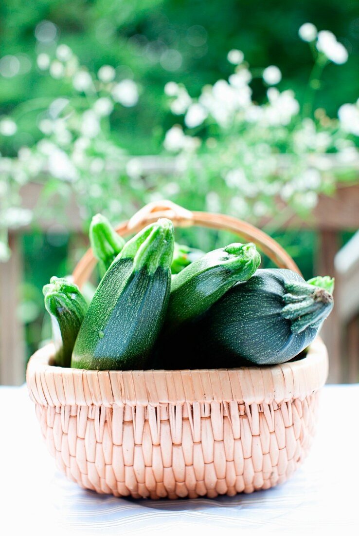 Frische Zucchini im Körbchen auf Tisch im Freien