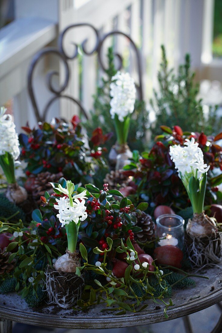 Weihnachtsgesteck aus Tannenzweigen, Scheinbeeren, Lorbeer, Äpfeln, Misteln, Hyazinthen und Pinienzapfen mit Windlicht auf der Terrasse