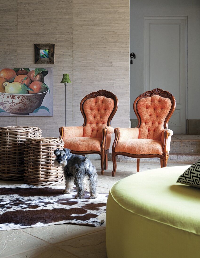 Neo-rococo armchairs with red upholstery next to wicker stools on cow-skin rug in modern living room