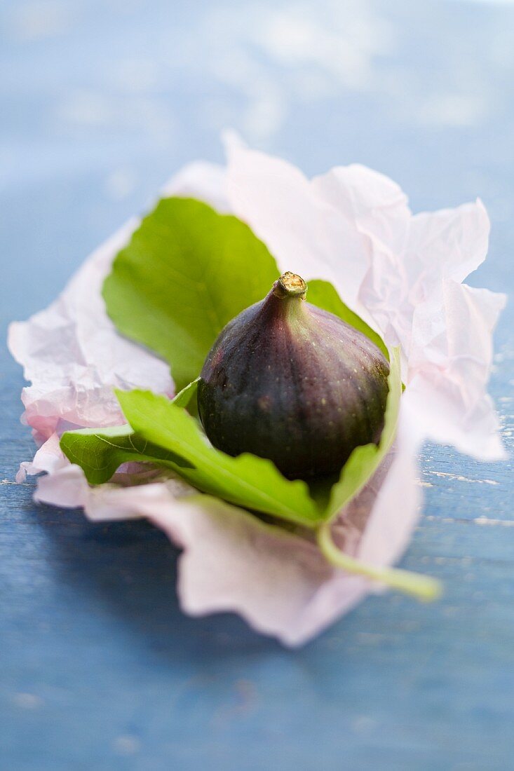 Frische Feige mit Blatt auf Papier