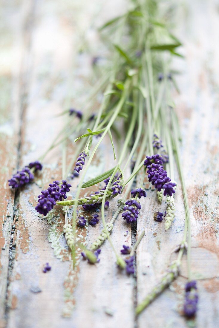 Lavendel mit Blüten
