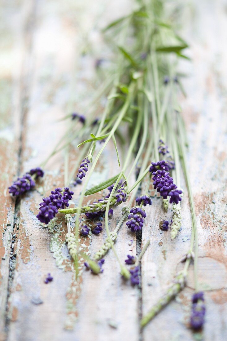 Lavender with flowers