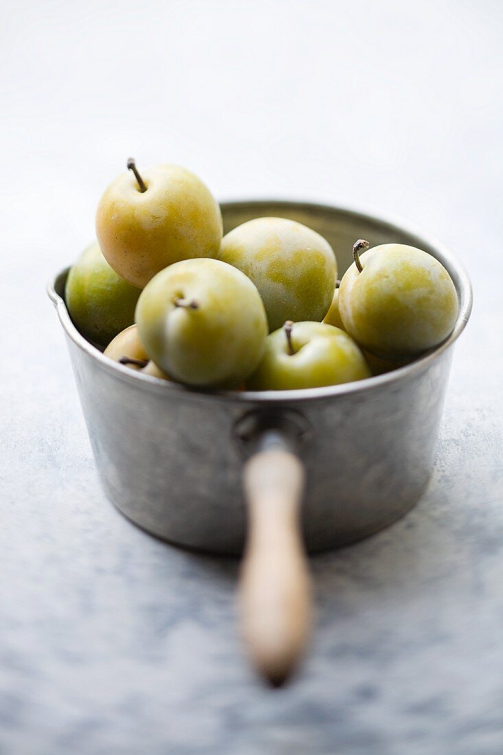 Fresh greengages in a saucepan