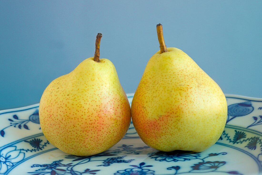 Two pears on a porcelain plate
