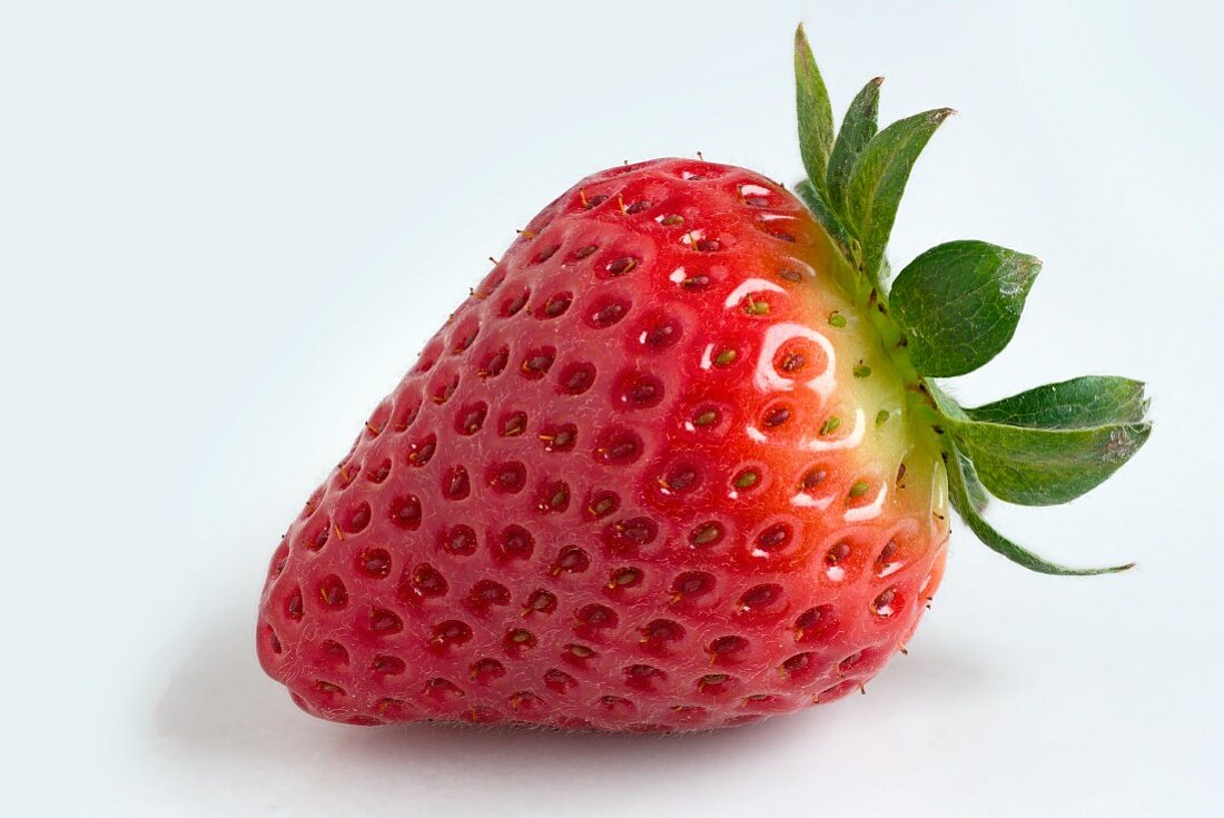 A strawberry against a white background