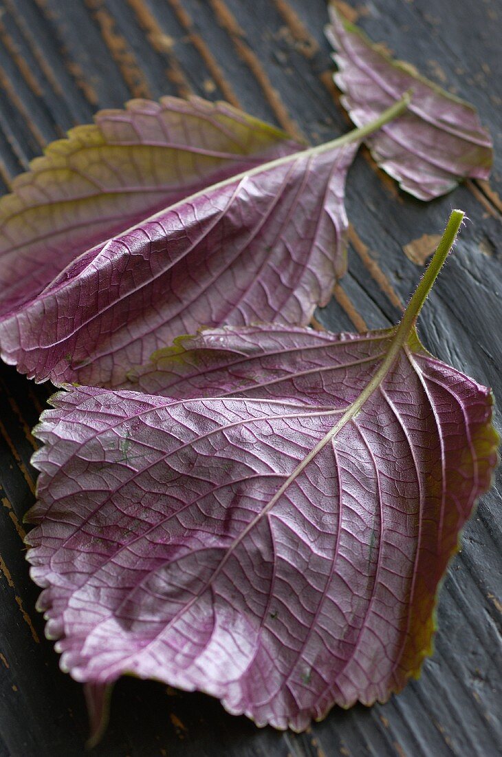 Fresh shiso leaves on a wooden surface (close-up)