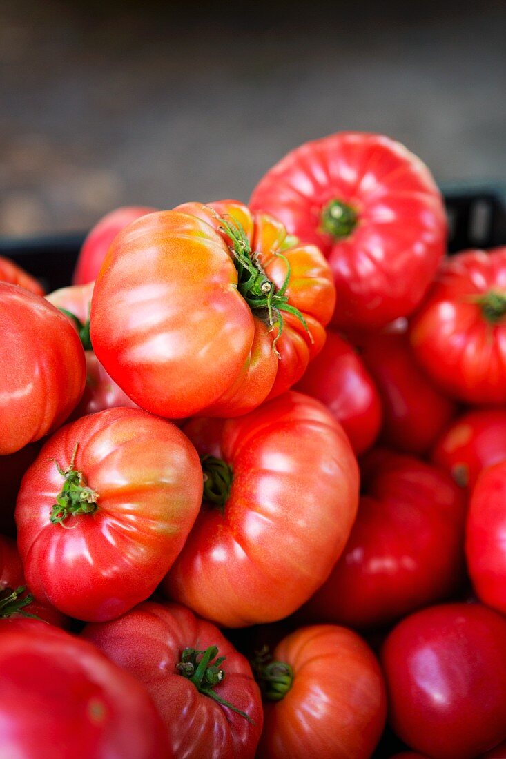 Beefsteak tomatoes