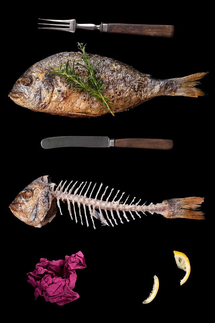 A still life of a fish and a fish skeleton