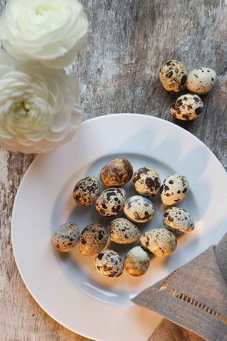 Quail's eggs and ranunculus flowers