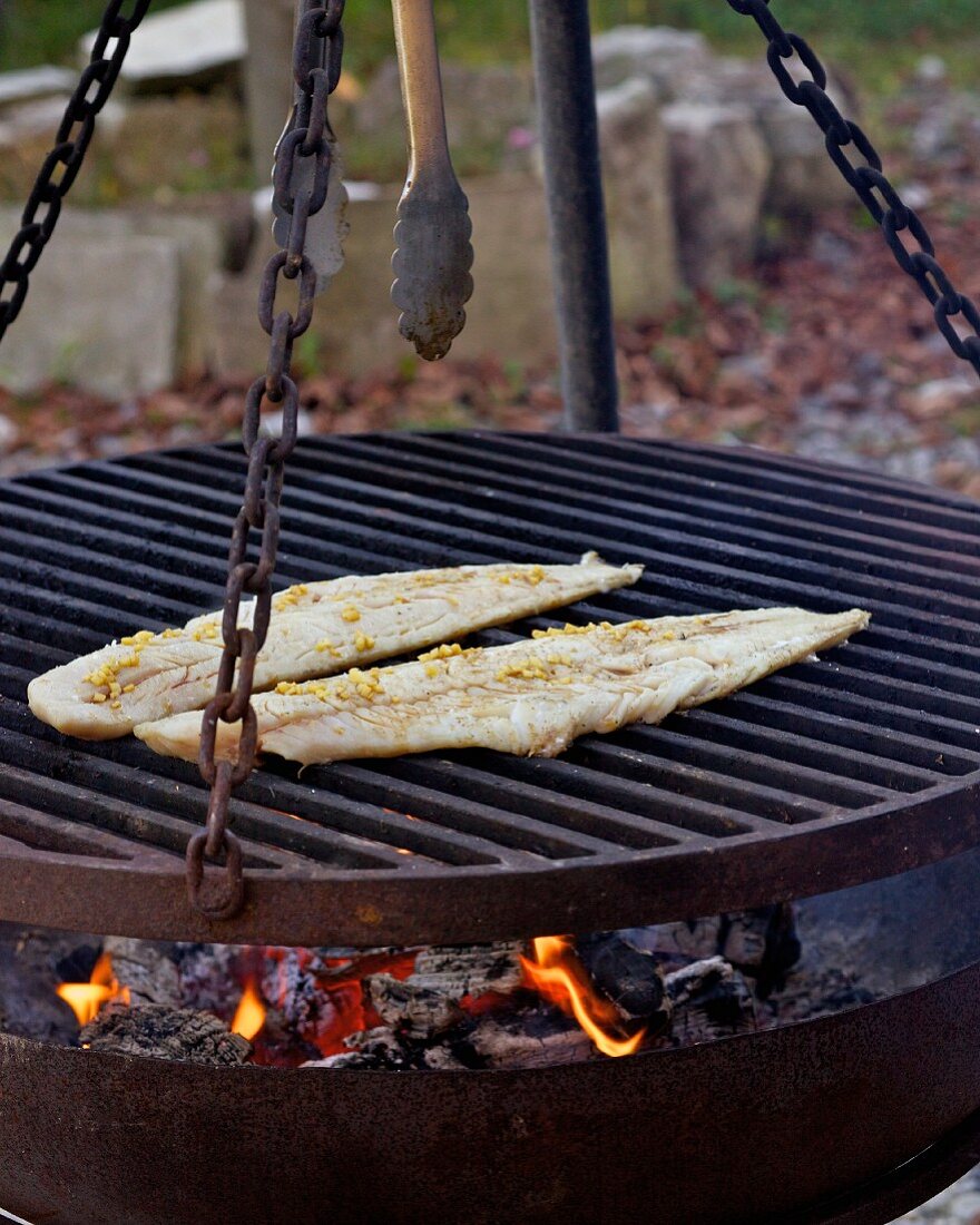 Fish fillets with ginger on the barbecue