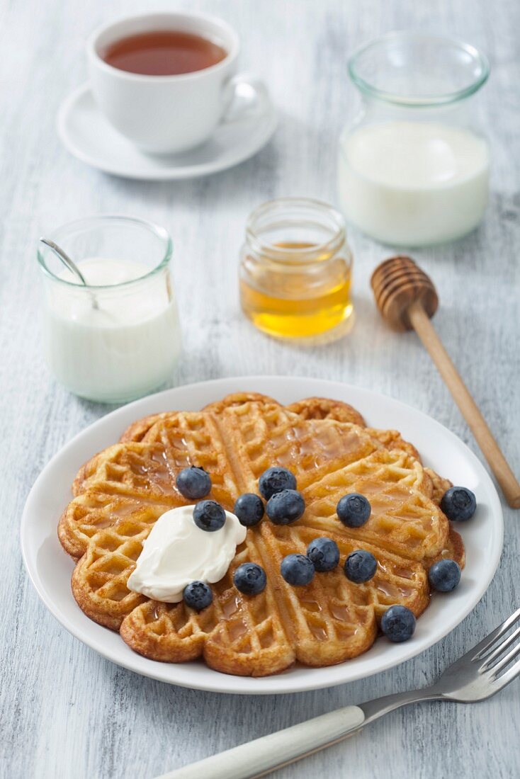 Waffle with blueberries, yogurt and honey